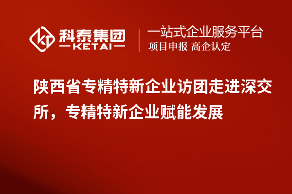 陜西省專精特新企業訪團走進深交所，專精特新企業賦能發展