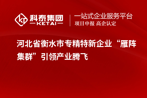 河北省衡水市專精特新企業“雁陣集群”引領產業騰飛
