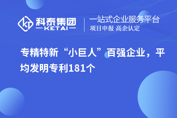 專精特新“小巨人”百強企業，平均發明專利181個
