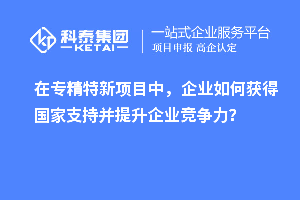 在專精特新項目中，企業如何獲得國家支持并提升企業競爭力？
