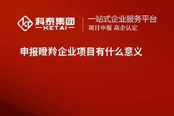 申報瞪羚企業項目有什么意義