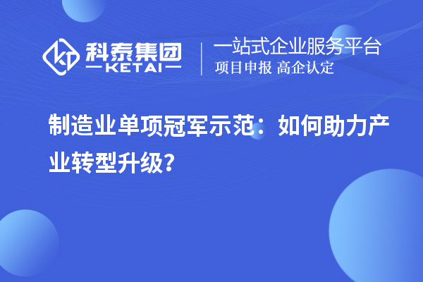 制造業單項冠軍示范：如何助力產業轉型升級？
