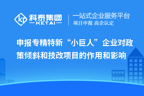 申報(bào)專精特新“小巨人”企業(yè)對(duì)政策傾斜和技改項(xiàng)目的作用和影響