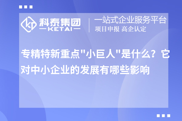 專精特新重點小巨人是什么？它對中小企業的發展有哪些影響