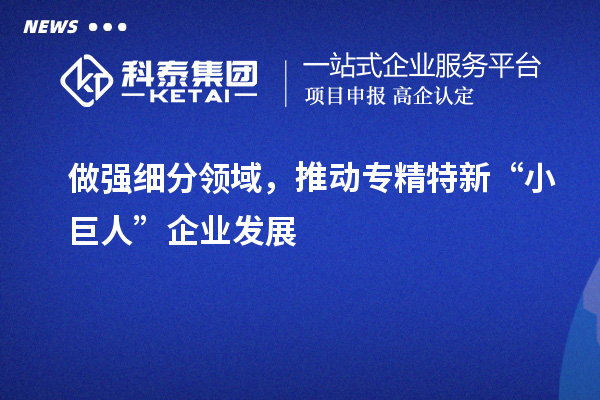做強細分領域，推動專精特新“小巨人”企業發展