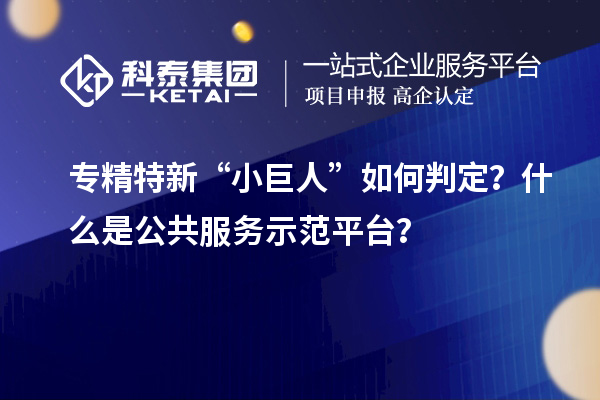 專精特新“小巨人”如何判定？什么是公共服務示范平臺？