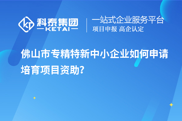 佛山市<a href=http://www.xjsygy.com/fuwu/zhuanjingtexin.html target=_blank class=infotextkey>專精特新中小企業</a>如何申請培育項目資助？