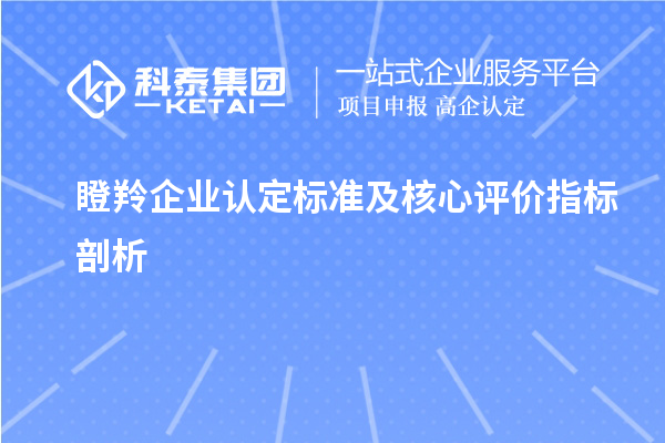 瞪羚企業認定標準及核心評價指標剖析		 		