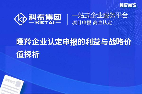 瞪羚企業認定申報的利益與戰略價值探析		 		