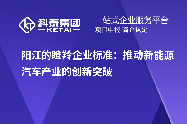 陽(yáng)江的瞪羚企業(yè)標(biāo)準(zhǔn)：推動(dòng)新能源汽車(chē)產(chǎn)業(yè)的創(chuàng)新突破
