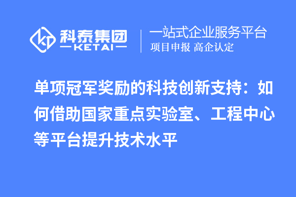 單項冠軍獎勵的科技創新支持：如何借助國家重點實驗室、工程中心等平臺提升技術水平