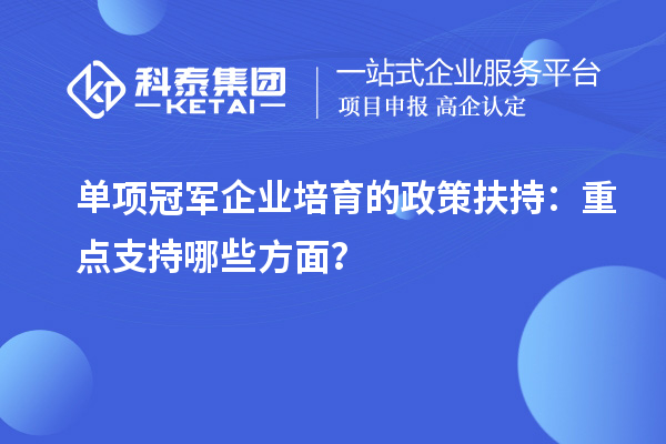 單項冠軍企業培育的政策扶持：重點支持哪些方面？
