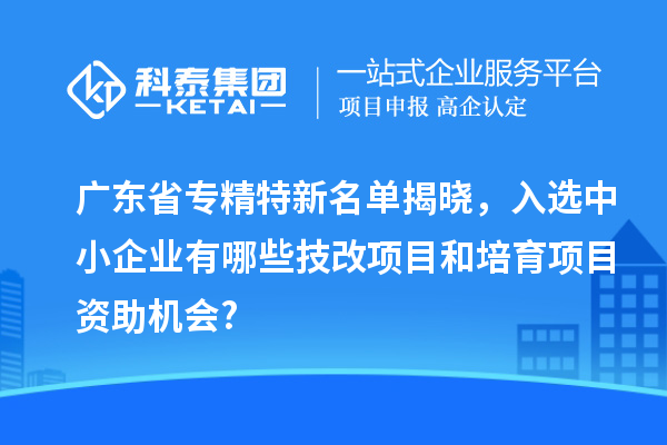 廣東省專精特新名單揭曉,入選中小企業(yè)有哪些技改項目和培育項目資助機會?