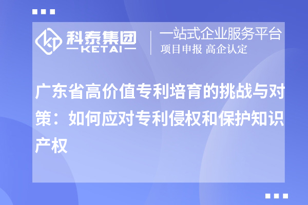 廣東省高價值專利培育的挑戰(zhàn)與對策：如何應(yīng)對專利侵權(quán)和保護知識產(chǎn)權(quán)