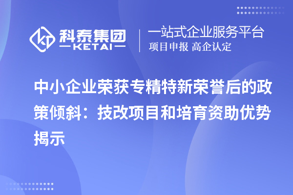 中小企業榮獲專精特新榮譽后的政策傾斜：技改項目和培育資助優勢揭示