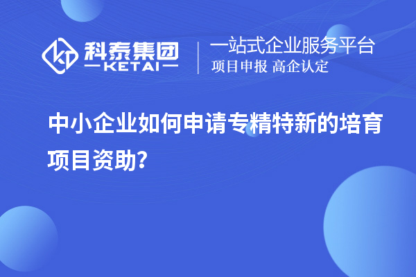 中小企業如何申請專精特新的培育項目資助？