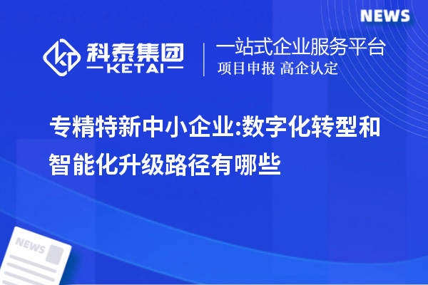 專精特新中小企業:數字化轉型和智能化升級路徑有哪些