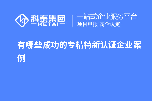 有哪些成功的專(zhuān)精特新認(rèn)證企業(yè)案例