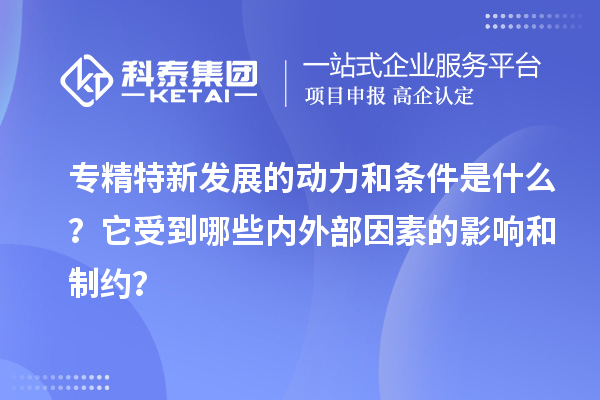 專精特新發展的動力和條件是什么？它受到哪些內外部因素的影響和制約？