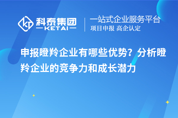 申報瞪羚企業有哪些優勢?分析瞪羚企業的競爭力和成長潛力