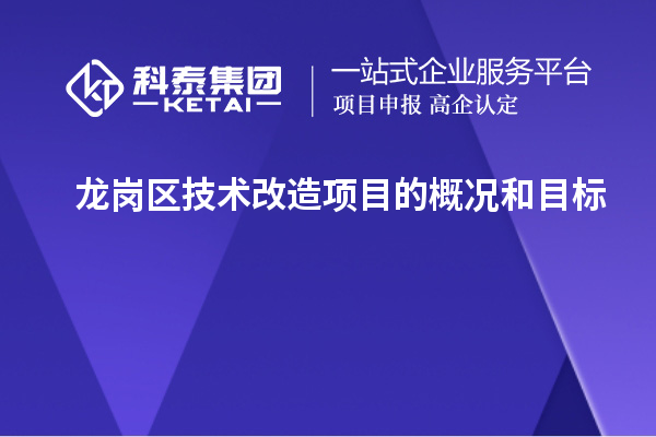 龍崗區技術改造項目的概況和目標