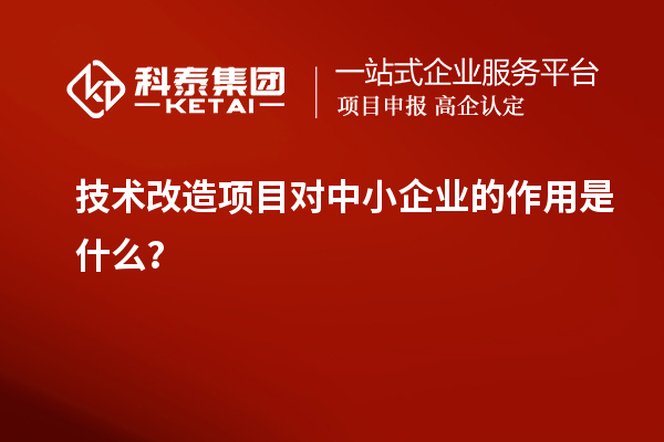 技術改造項目對中小企業的作用是什么？