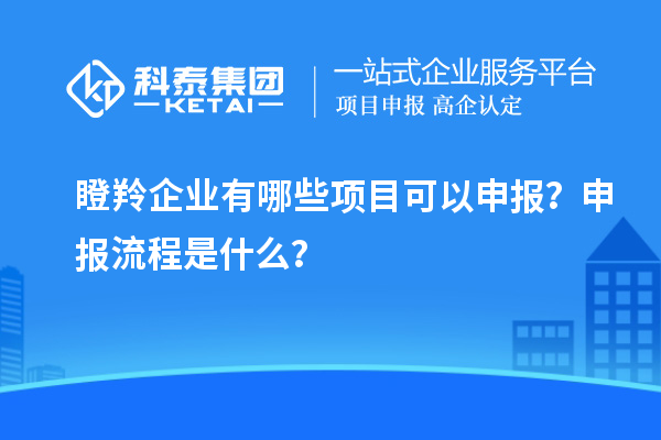 瞪羚企業(yè)有哪些項(xiàng)目可以申報(bào)？申報(bào)流程是什么？