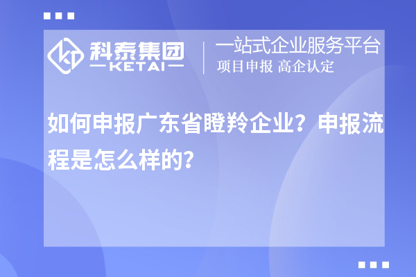 如何申報廣東省瞪羚企業？申報流程是怎么樣的？