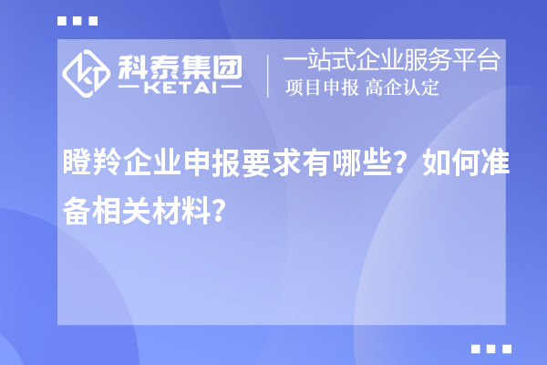 瞪羚企業申報要求有哪些？如何準備相關材料？