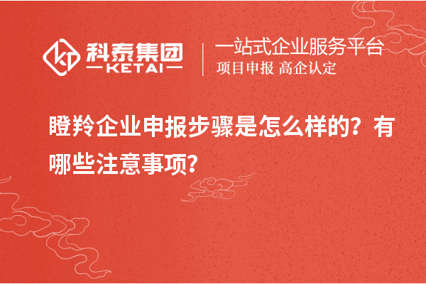 瞪羚企業申報步驟是怎么樣的？有哪些注意事項？