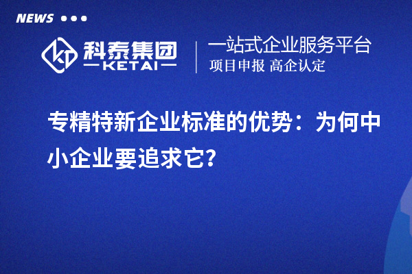 專精特新企業(yè)標(biāo)準(zhǔn)的優(yōu)勢：為何中小企業(yè)要追求它？