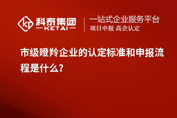 市級瞪羚企業的認定標準和申報流程是什么？