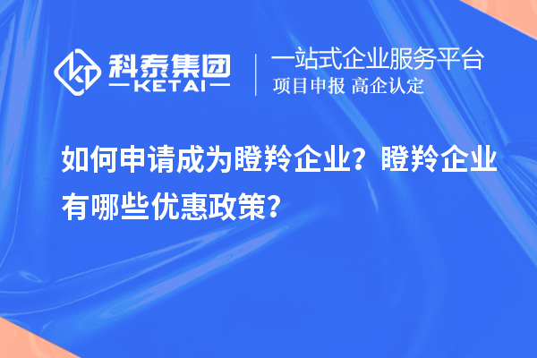 如何申請成為瞪羚企業？瞪羚企業有哪些優惠政策？