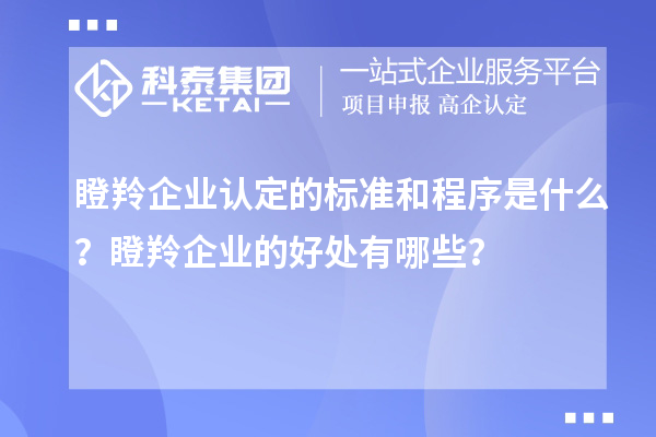 瞪羚企業認定的標準和程序是什么？瞪羚企業的好處有哪些？