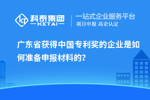 廣東省獲得中國專利獎的企業(yè)是如何準備申報材料的？