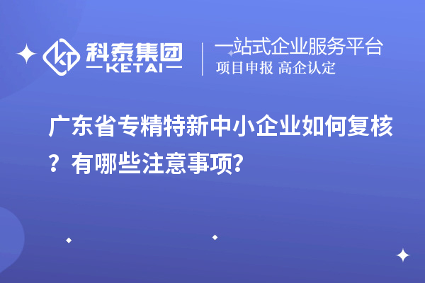 廣東省專精特新中小企業如何復核？有哪些注意事項？