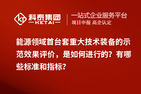 能源領(lǐng)域首臺(tái)套重大技術(shù)裝備的示范效果評(píng)價(jià)，是如何進(jìn)行的？有哪些標(biāo)準(zhǔn)和指標(biāo)？