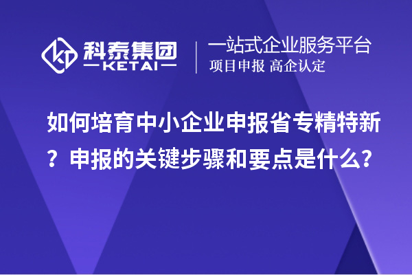 如何培育中小企業(yè)申報(bào)省專(zhuān)精特新？申報(bào)的關(guān)鍵步驟和要點(diǎn)是什么？