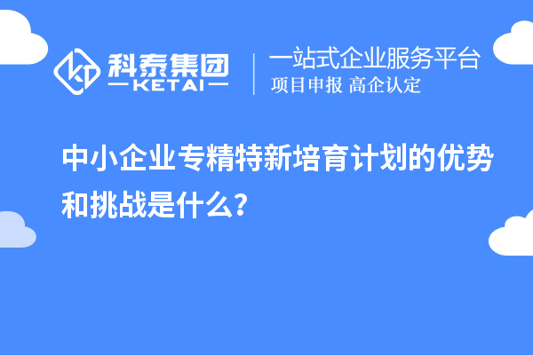 中小企業(yè)專精特新培育計劃的優(yōu)勢和挑戰(zhàn)是什么？