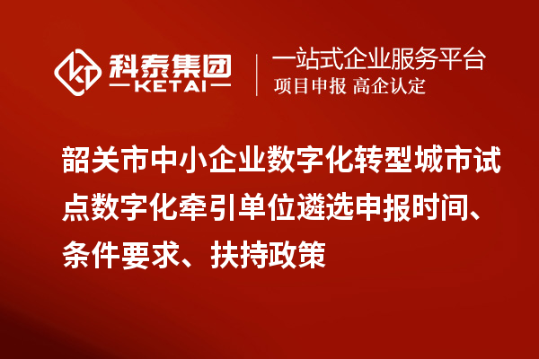 韶關市中小企業數字化轉型城市試點數字化牽引單位遴選申報時間、條件要求、扶持政策