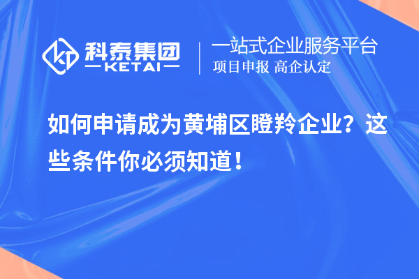 如何申請(qǐng)成為黃埔區(qū)瞪羚企業(yè)？這些條件你必須知道！