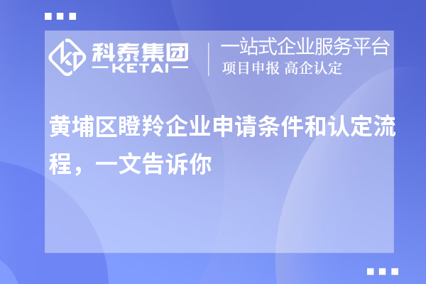 黃埔區瞪羚企業申請條件和認定流程，一文告訴你