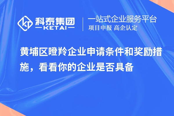 黃埔區瞪羚企業申請條件和獎勵措施，看看你的企業是否具備