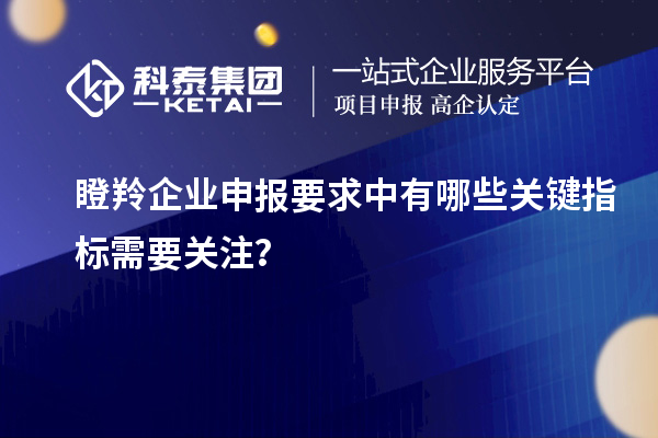 瞪羚企業申報要求中有哪些關鍵指標需要關注？