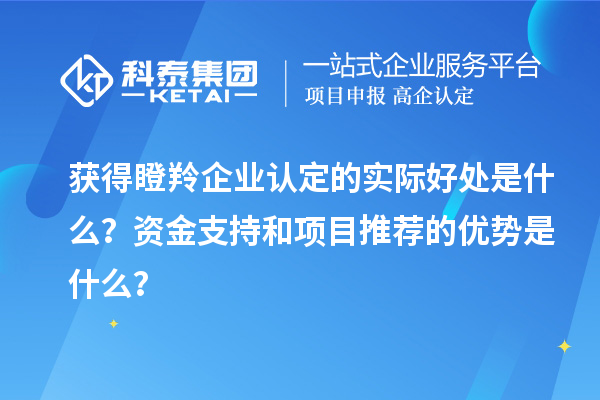 獲得瞪羚企業認定的實際好處是什么？資金支持和項目推薦的優勢是什么？
