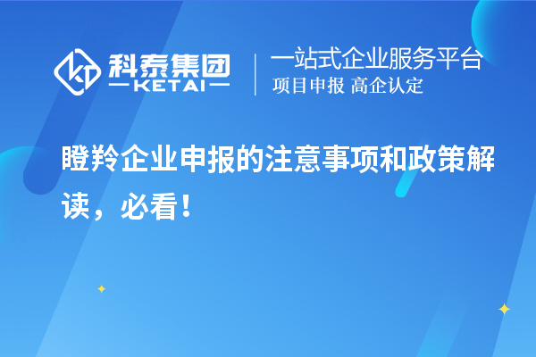瞪羚企業申報的注意事項和政策解讀，必看！