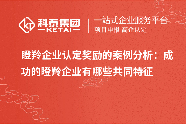 <a href=http://www.xjsygy.com/fuwu/dengling.html target=_blank class=infotextkey>瞪羚企業認定</a>獎勵的案例分析：成功的瞪羚企業有哪些共同特征