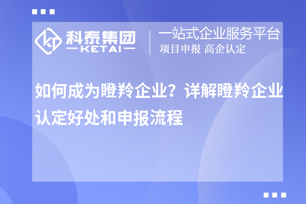 如何成為瞪羚企業？詳解<a href=http://www.xjsygy.com/fuwu/dengling.html target=_blank class=infotextkey>瞪羚企業認定</a>好處和申報流程
