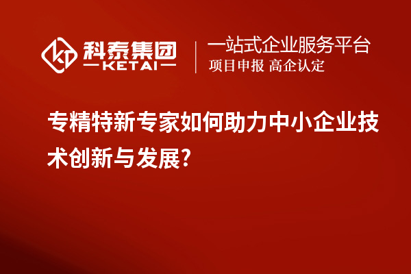 專精特新專家如何助力中小企業技術創新與發展?