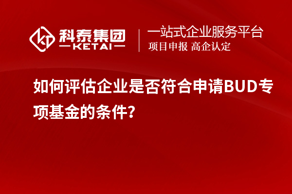 如何評估企業是否符合申請BUD專項基金的條件？